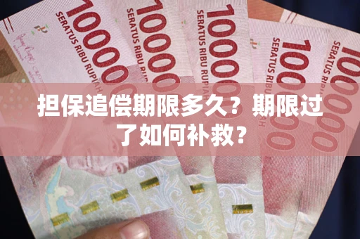 济南担保追偿期限多久？期限过了如何补救？