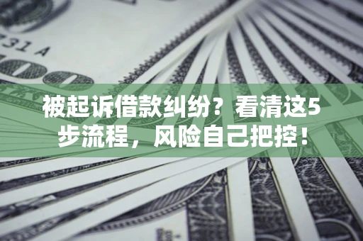 济南被起诉借款纠纷？看清这5步流程，风险自己把控！